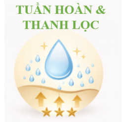 Alternative view of Aromatic Lymphatic Treatment – Liệu trình thư giãn bạch huyết 60 phút